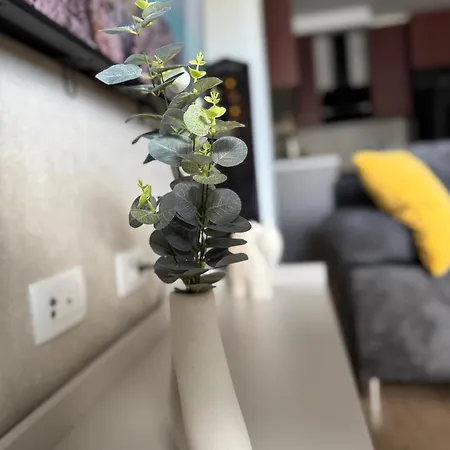 公寓 Maris Apartments,